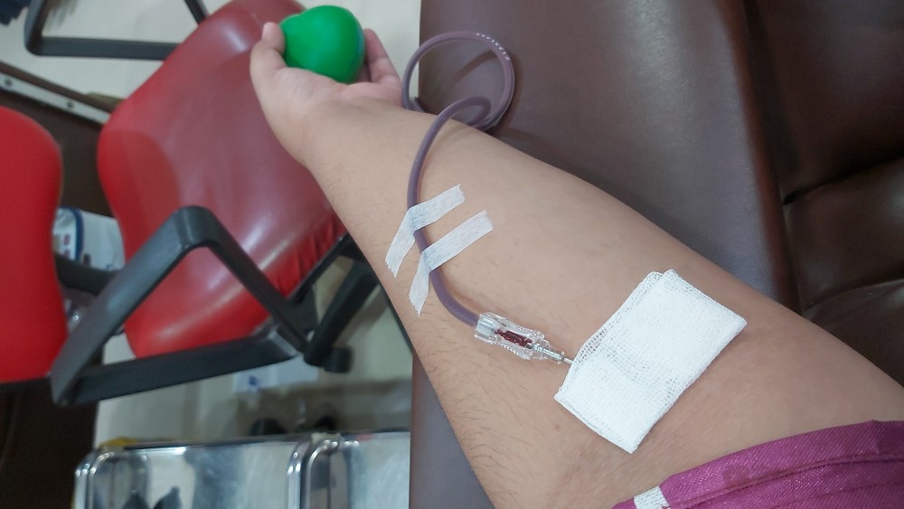 donor ke 14